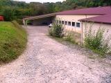 img344.jpg